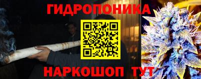 мяу мяу мука Лесосибирск