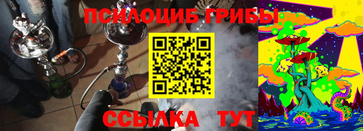 Галлюциногенные грибы MAGIC MUSHROOMS  Вход с VPN  Джанкой 