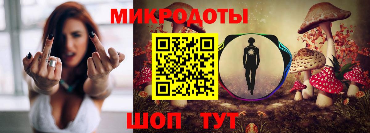 Псилоцибиновые грибы Psilocybe Джанкой